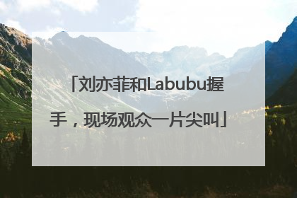 刘亦菲和Labubu握手，现场观众一片尖叫