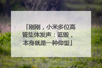刚刚，小米多位高管集体发声：诋毁，本身就是一种仰望