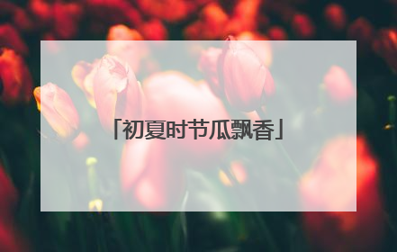 初夏时节瓜飘香