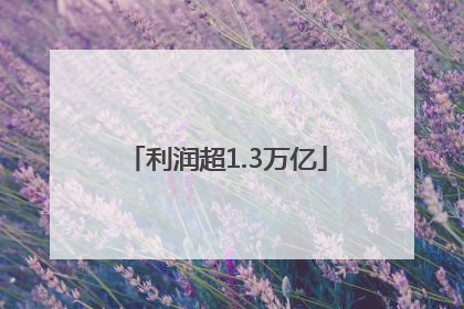 利润超1.3万亿