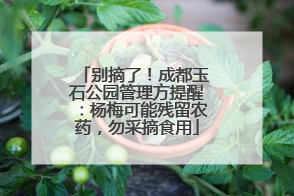 别摘了！成都玉石公园管理方提醒：杨梅可能残留农药，勿采摘食用