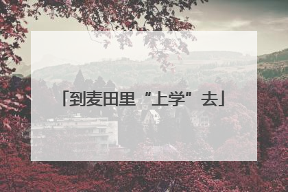 到麦田里“上学”去