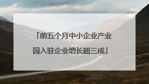 前五个月中小企业产业园入驻企业增长超三成