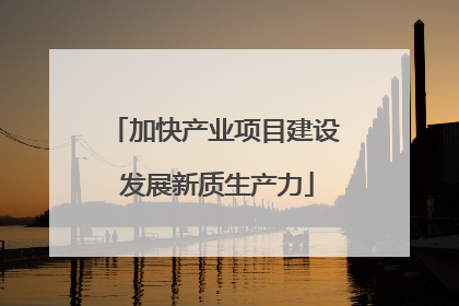 加快产业项目建设 发展新质生产力