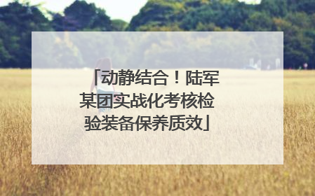 动静结合！陆军某团实战化考核检验装备保养质效