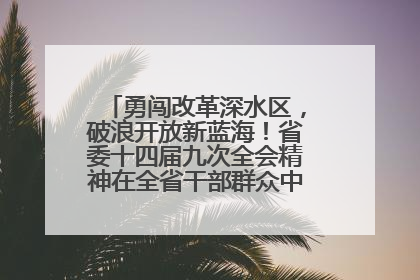 勇闯改革深水区，破浪开放新蓝海！省委十四届九次全会精神在全省干部群众中引发热烈反响