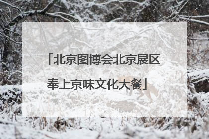 北京图博会北京展区奉上京味文化大餐