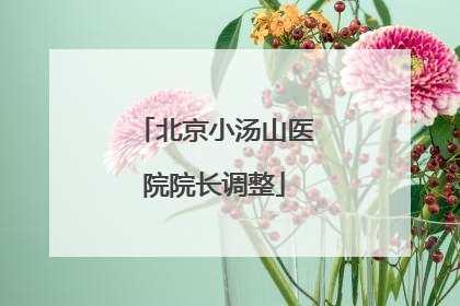 北京小汤山医院院长调整