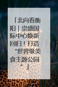 北向看衡阳｜崇盛国际中心焕新回归！打造“世界级美食主题公园”