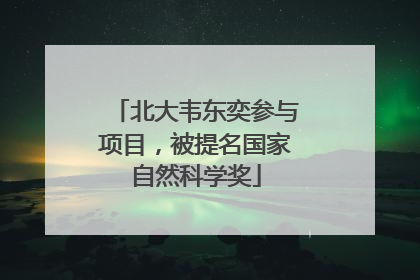 北大韦东奕参与项目，被提名国家自然科学奖