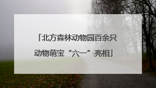 北方森林动物园百余只动物萌宝“六一”亮相