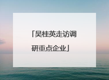 吴桂英走访调研重点企业