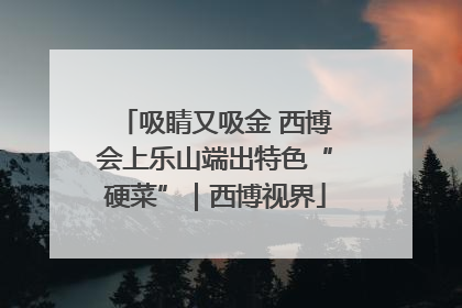 吸睛又吸金 西博会上乐山端出特色“硬菜”｜西博视界