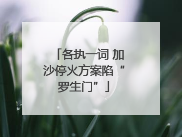 各执一词 加沙停火方案陷“罗生门”