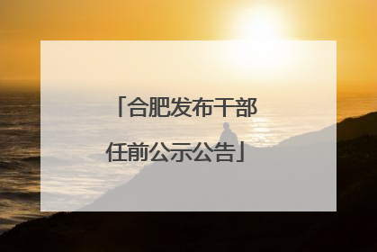 合肥发布干部任前公示公告