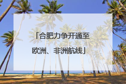 合肥力争开通至欧洲、非洲航线