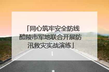 同心筑牢安全防线 醴陵市军地联合开展防汛救灾实战演练