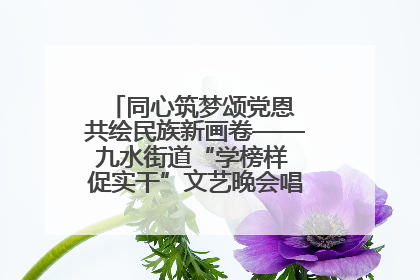 同心筑梦颂党恩 共绘民族新画卷——九水街道“学榜样 促实干”文艺晚会唱响民族团结主旋律