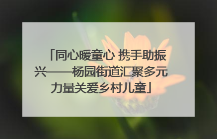 同心暖童心 携手助振兴——杨园街道汇聚多元力量关爱乡村儿童