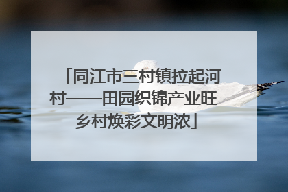 同江市三村镇拉起河村——田园织锦产业旺 乡村焕彩文明浓