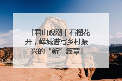 君山观潮｜石榴花开，峄城谱写乡村振兴的“新”篇章
