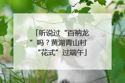 听说过“百衲龙”吗？黄湖青山村“花式”过端午