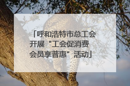 呼和浩特市总工会开展“工会促消费 会员享普惠”活动