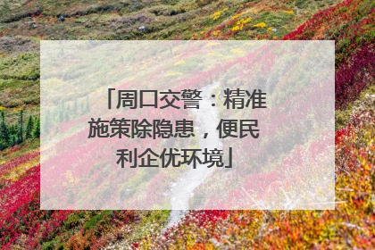周口交警：精准施策除隐患，便民利企优环境