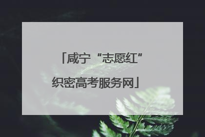 咸宁“志愿红”织密高考服务网