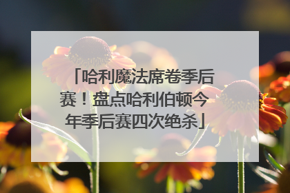 哈利魔法席卷季后赛！盘点哈利伯顿今年季后赛四次绝杀