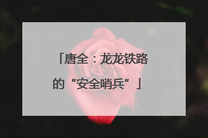唐全：龙龙铁路的“安全哨兵”