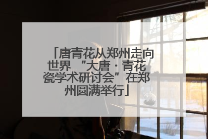 唐青花从郑州走向世界 “大唐・青花瓷学术研讨会”在郑州圆满举行