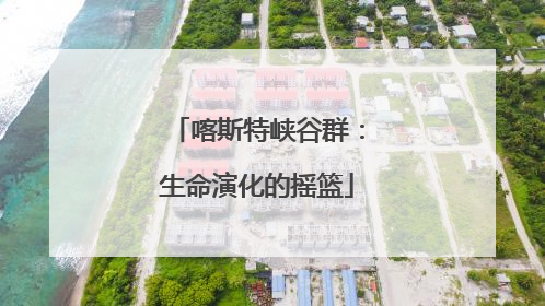 喀斯特峡谷群：生命演化的摇篮