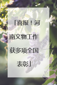 喜报！河南文物工作获多项全国表彰