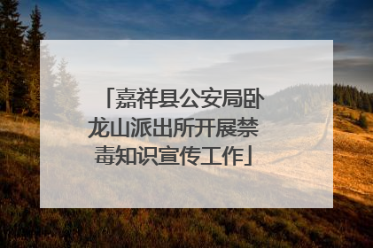 嘉祥县公安局卧龙山派出所开展禁毒知识宣传工作