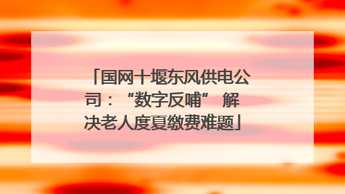 国网十堰东风供电公司：“数字反哺” 解决老人度夏缴费难题