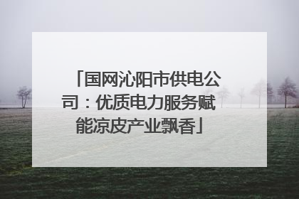 国网沁阳市供电公司：优质电力服务赋能凉皮产业飘香