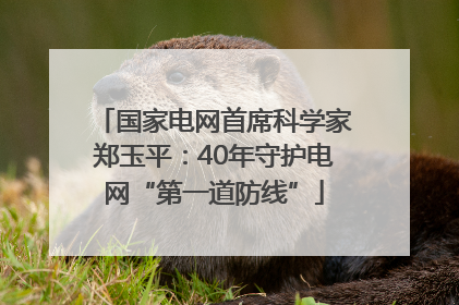 国家电网首席科学家郑玉平：40年守护电网“第一道防线”