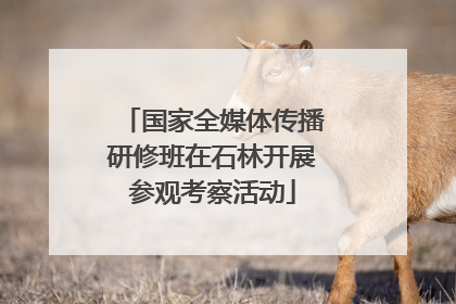 国家全媒体传播研修班在石林开展参观考察活动