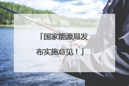 国家能源局发布实施意见！