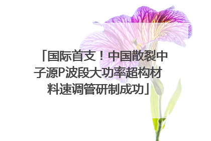 国际首支！中国散裂中子源P波段大功率超构材料速调管研制成功