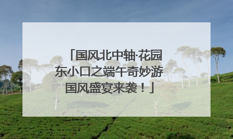 国风北中轴·花园东小口之端午奇妙游国风盛宴来袭！