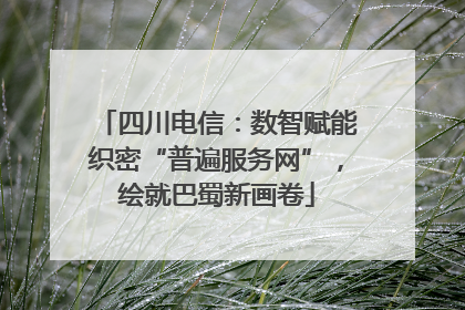 四川电信：数智赋能织密“普遍服务网”，绘就巴蜀新画卷
