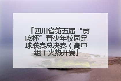 四川省第五届“贡嘎杯”青少年校园足球联赛总决赛（高中组）火热开赛