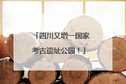 四川又增一国家考古遗址公园！