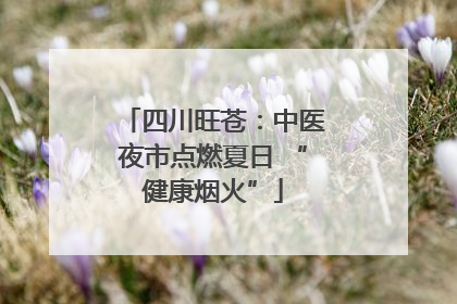 四川旺苍：中医夜市点燃夏日 “健康烟火”