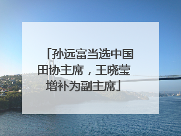孙远富当选中国田协主席，王晓莹增补为副主席