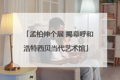 孟柏伸个展 揭幕呼和浩特西贝当代艺术馆