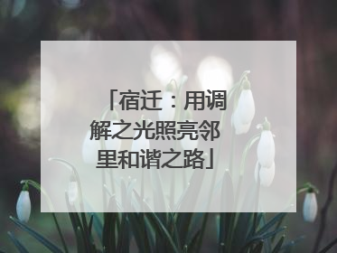 宿迁：用调解之光照亮邻里和谐之路