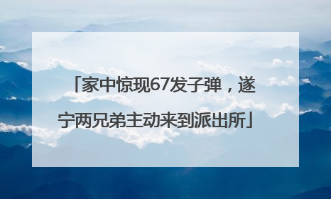 家中惊现67发子弹，遂宁两兄弟主动来到派出所